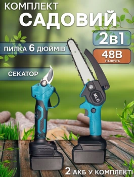 Аккумуляторная цепная пила и секатор с двумя аккумуляторами Power P0604-2 48В в чемодане