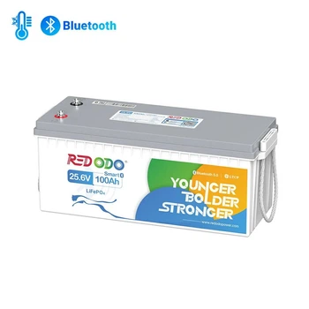 Аккумулятор LiFePO4 Redodo 24V 100А·ч 2560 Wh | Bluetooth BMS >4000 циклов, литий-железо-фосфатная батарея
