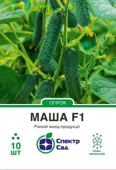 Насіння огірка Маша F1 10шт