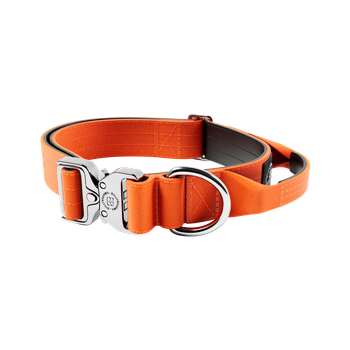 Тактический ошейник для собак с ручкой и платиновым замком BullyBillows Combat Collar Handle Platinum 4 cm S: 40 мм, ОШ 40-50 см Оранжевый