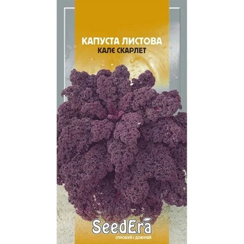 Насіння Капуста листова 0,25г Калє Скарлет SeedEra