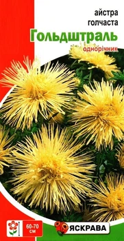 Насіння айстри голчастої Гольдштраль лимонна Яскрава 0,3г