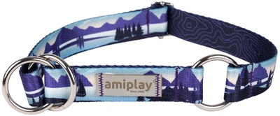 Нашийник для собак Amiplay BeNature півзачіпний L Trails (5907563306073)