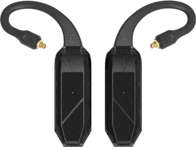 Адаптер iFi GO Pod Air Black (90404123)