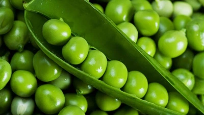 Насіння гороху Прима цукровий Ранній 50г