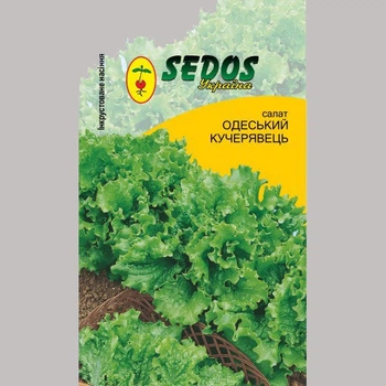 Семена Sedos салата Одесский кучерявец 1г