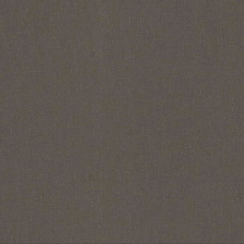 Обои флизелиновая erismann spotlight 2 12205-34 однотонные золотой черный Германия