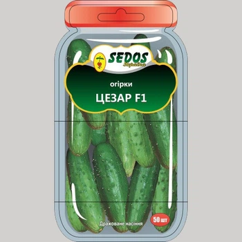Семена Sedos огурца Цезарь F1 30сем