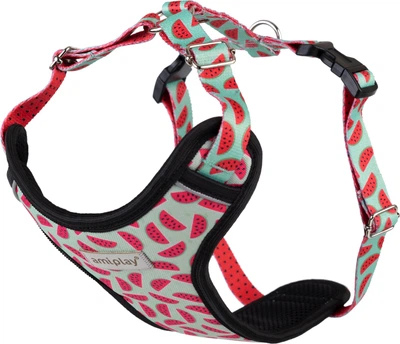 Шлейки для собак Amiplay BeHappy Discovery Watermelon S (5907563297814)