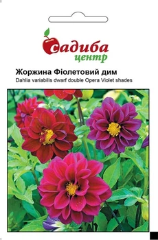 Насіння Жоржини Фіолетовий Дим Hem Zaden 0,1 г