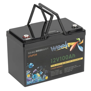 Акумулятор Weekender LiFePO4 12.8 В 100 Ah 307x172x215 мм 12 кг