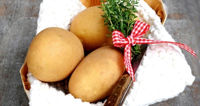 Картопля насіннєва Отолія 1 репродукція 2.5кг Europlant