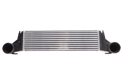 Радіатор інтеркулера BMW X5 (E53) 3.0D 03-06, NRF (30323)