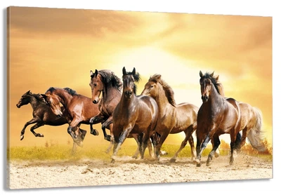 Картина на холсте Art Dekors Свободные Кони 80x120 см MLP 257