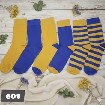 Шкарпетки чоловічі демісезонні King 601, 42-45 р. Набір з 6 пар, синьо-жовтий мікс