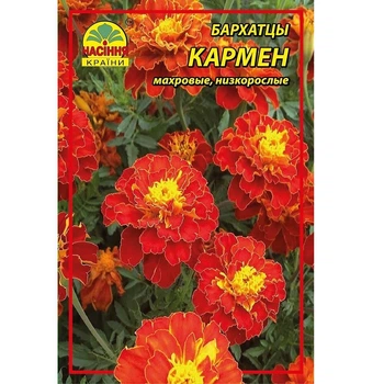 Цветы бархатцы Насіння країни Кармен 3 г (1301611014)