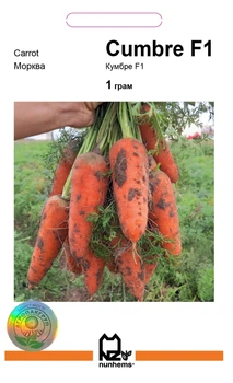 Семена моркови Кумбре F1, 1 г.