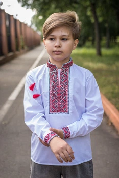 Вишита сорочка для хлопчика 5–12 років, батист, біла, довгий рукав, натуральна вишивка , 134, Білий з червоним