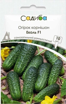 Семена огурца Эколь F1, 10шт, Syngenta, Голландия, семена Садиба Центр
