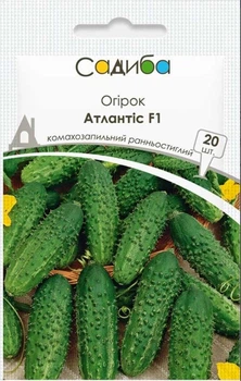 Семена огурца Атлантис F1, 50шт, Bejo, Голландия, семена Садиба Центр