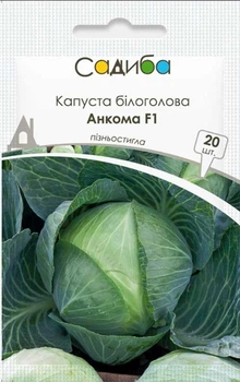 Насіння капусти Анкома F1, 20шт, Rijk Zwaan, Голландія, насіння Садиба Центр
