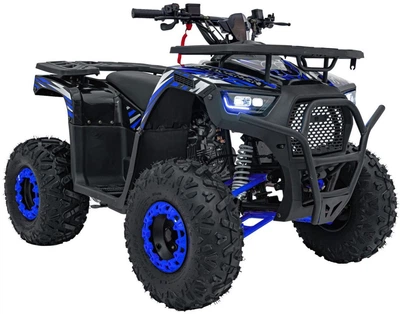 Електромобіль для дітей Quad Spalinowy 125CC Discoverer 1-місний Синій (5903864983784)