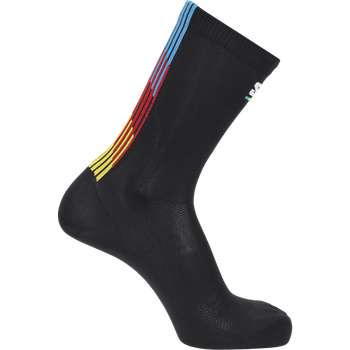 Носки Salomon PULSE RACE FLAG CREW 42/44 черный sC26252