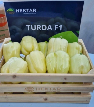 Перец Турда F1 Turda F1 семена 100 шт Hektar