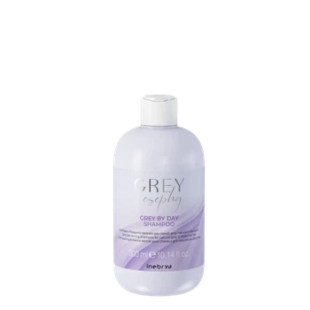 Шампунь тонирующий для натурального, седого и блондованного вол Inebrya Grey By Day Shampoo, 300 мл