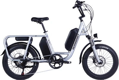 Електровелосипед Dorozhnik ADAMANT AM 18.5" 20" 48В 17.5+12.5А*г 1000Вт 2026 Сріблястий (ELB-D-20-080)