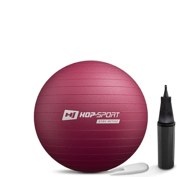 Фитбол Hop-Sport 45см сливовый + насос