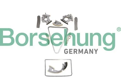 Комплект цепи ГРМ Borsehung (B10242)