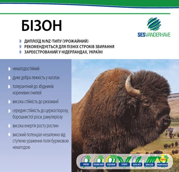 Цукровий буряк Бізон 1 кг