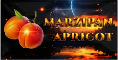 Marzipan Lorizio "Apricot" Марципан "З Абрикосом"