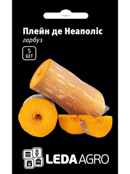Гарбуз "Плейн де Неаполіс" ТМ "Leda Agro" 5 шт