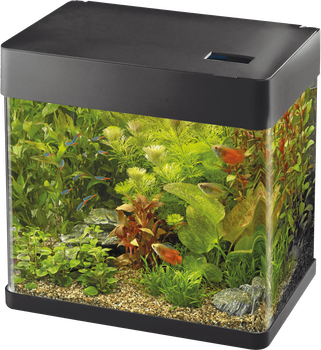 Акваріум скляний - Superfish Panorama 50 LED BLACK (A4052040)
