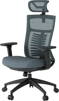 Крісло комп'ютерне офісне ергономічне OfficePro Balance OC550-B-DG-DG Black/Dark Gray