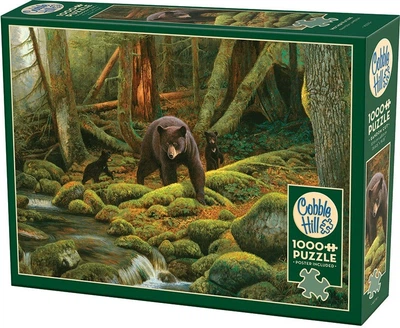 Puzzle Cobble Hill Rodzina Niedwiedzi 1000 elementów 113102 (625012402781)