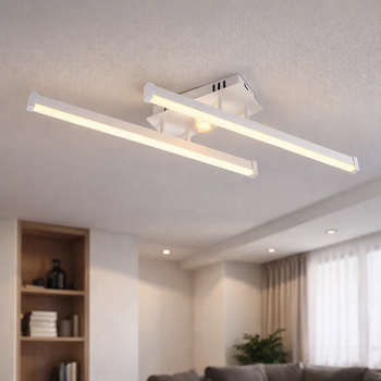 Люстра светодиодная 20W потолочная Valeso YH1310/2 на два акриловых рассеивателя белая с золотистым 3000K+6500К IP20