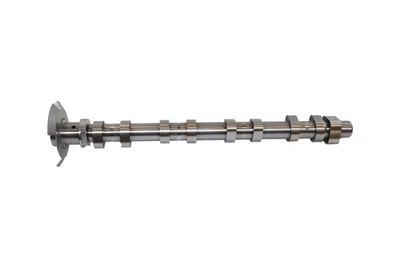 Распредвал Borsehung (B11320)