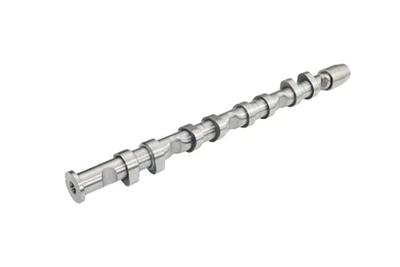 Распредвал Borsehung (B13032)