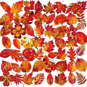Набор наклеек Осенние листья Autumn Leaves 50 шт