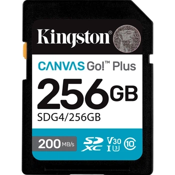 Карта памяти Kingston SDXC Canvas Go! Plus 256Gb Class 10 UHS-I U3 V30 (SDG4/256GB) [145073]