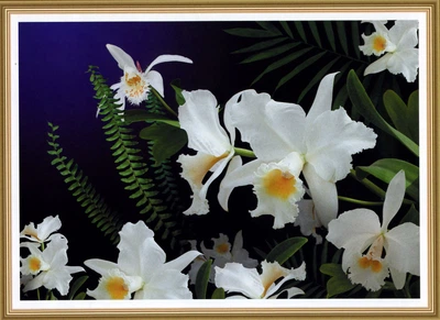 Фотообои глянцевые ArtDecor Дикая орхидея 194х268 см