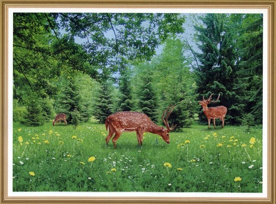 Фотообои глянцевые ArtDecor Поляна сказок 134х194см