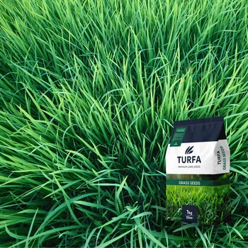 Райграс сорт Tetragreen 1 кг
