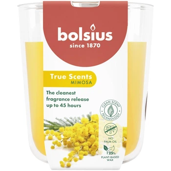 TRUE SCENTS Свеча в стекле 9.7х8.5см аромат Мимоза (BOL-940356)