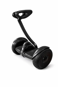 Сигвей ProBot Mini 54V 5700mAh Черный