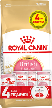 Сухий корм для кішок Royal Canin British Shorthair Kitten