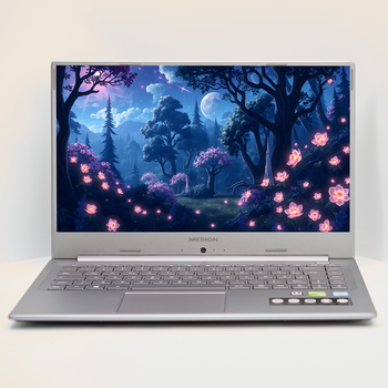 Ноутбук 15.6'' Medion (Lenovo Group) Akoya P15645 | Intel Core i7-8565U | IPS (1920x1080) FullHD | RAM 8 ГБ | SSD 256 ГБ | Nvidia GeForce MX250 | Intel UHD Graphics 620 | Металевий корпус | Win11 (4970) - Б/В